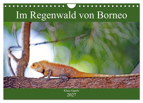 Im Regenwald von Borneo (Wandkalender 2027 DIN A4 quer), CALVENDO Monatskalender