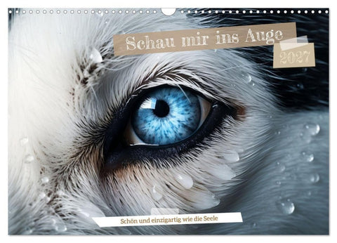 Schau mir ins Auge (Wandkalender 2027 DIN A3 quer), CALVENDO Monatskalender