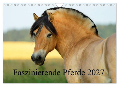 Faszinierende Pferde 2027 (Wandkalender 2027 DIN A4 quer), CALVENDO Monatskalender