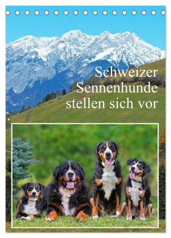 Schweizer Sennenhunde stellen sich vor (Tischkalender 2027 DIN A5 hoch), CALVENDO Monatskalender
