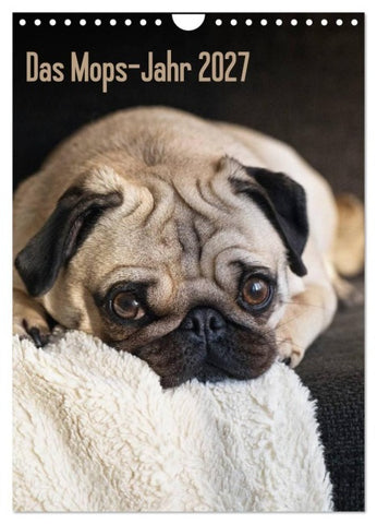 Das Mops-Jahr 2027 (Wandkalender 2027 DIN A4 hoch), CALVENDO Monatskalender