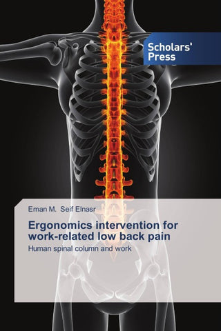 Ergonomics intervention for work-related low back pain