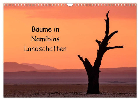 Bäume in Namibias Landschaften (Wandkalender 2027 DIN A3 quer), CALVENDO Monatskalender