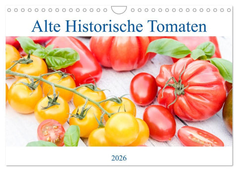 Alte Historische Tomaten (Wandkalender 2026 DIN A4 quer), CALVENDO Monatskalender