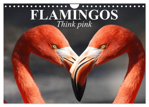 Flamingos Think pink (Wall Calendar 2026 DIN A4 landscape), CALVENDO 12 Month Wall Calendar