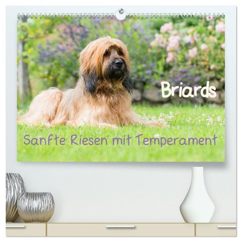 Briards - sanfte Riesen mit Temperament (hochwertiger Premium Wandkalender 2027 DIN A2 quer), Kunstdruck in Hochglanz