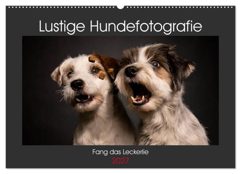 Fang das Leckerlie (Wandkalender 2027 DIN A2 quer), CALVENDO Monatskalender