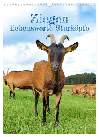 Ziegen - liebenswerte Sturköpfe (Wandkalender 2027 DIN A3 hoch), CALVENDO Monatskalender