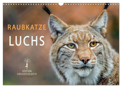 Raubkatze Luchs (Wandkalender 2026 DIN A3 quer), CALVENDO Monatskalender