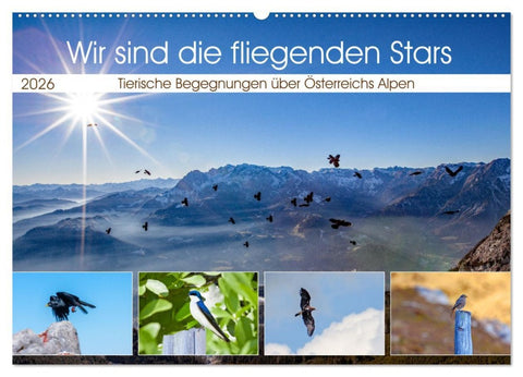 Wir sind die fliegenden Stars (Wandkalender 2026 DIN A2 quer), CALVENDO Monatskalender