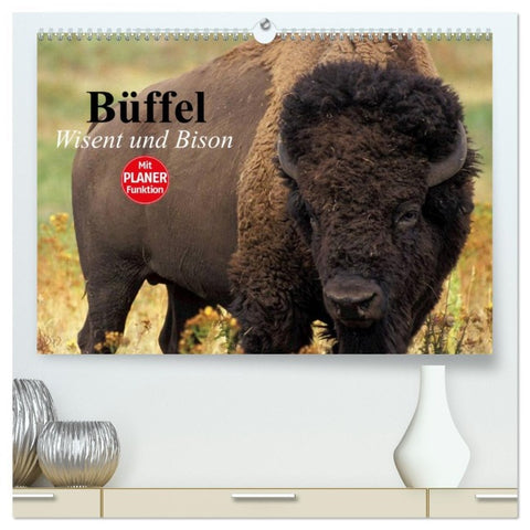 Büffel. Wisent und Bison (hochwertiger Premium Wandkalender 2026 DIN A2 quer), Kunstdruck in Hochglanz