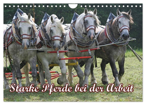 Starke Pferde bei der Arbeit (Wandkalender 2026 DIN A4 quer), CALVENDO Monatskalender