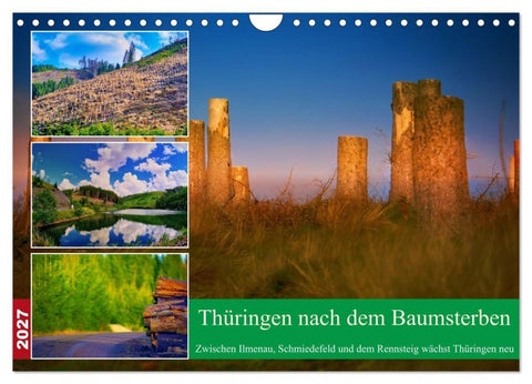 Thüringen nach dem Baumsterben (Wandkalender 2027 DIN A4 quer), CALVENDO Monatskalender