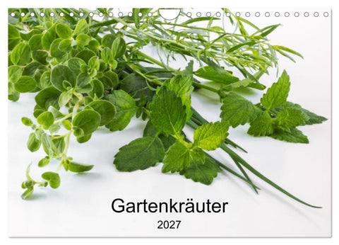 Gartenkräuter (Wandkalender 2027 DIN A4 quer), CALVENDO Monatskalender