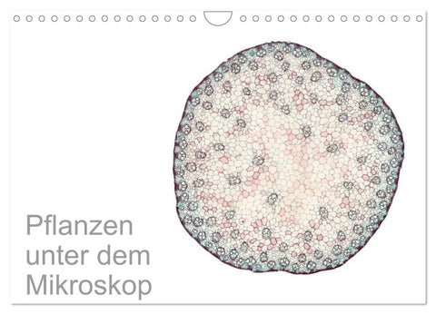 Pflanzen unter dem Mikroskop (Wandkalender 2027 DIN A4 quer), CALVENDO Monatskalender