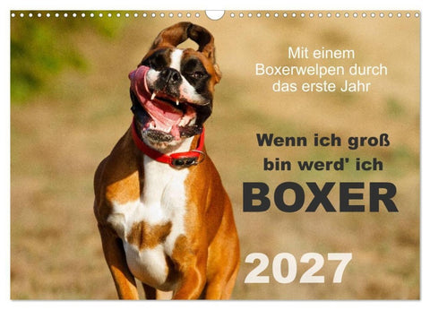 Wenn ich groß bin werd' ich Boxer (Wandkalender 2027 DIN A3 quer), CALVENDO Monatskalender