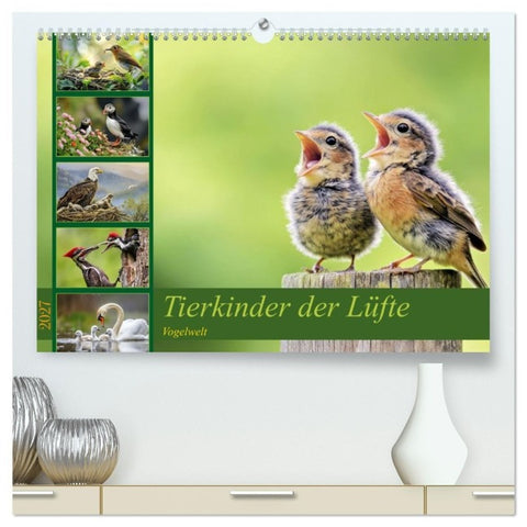Tierkinder der Lüfte - Vogelwelt (hochwertiger Premium Wandkalender 2027 DIN A2 quer), Kunstdruck in Hochglanz
