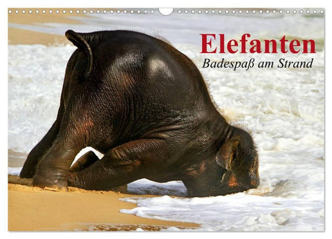 Elefanten. Badespaß am Strand (Wandkalender 2026 DIN A3 quer), CALVENDO Monatskalender