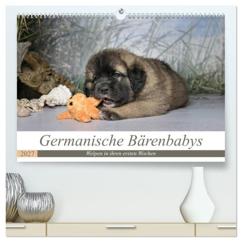 Germanische Bärenbabys (hochwertiger Premium Wandkalender 2027 DIN A2 quer), Kunstdruck in Hochglanz