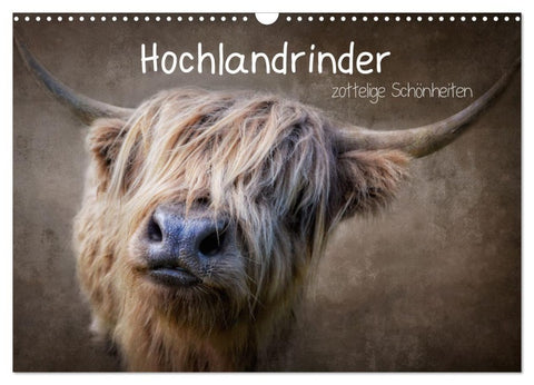 Hochlandrinder - Zottelige Schönheiten (Wandkalender 2027 DIN A3 quer), CALVENDO Monatskalender