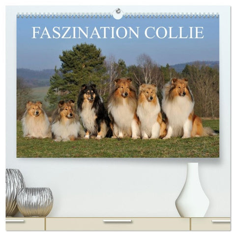 Faszination Collie 2026 (hochwertiger Premium Wandkalender 2026 DIN A2 quer), Kunstdruck in Hochglanz