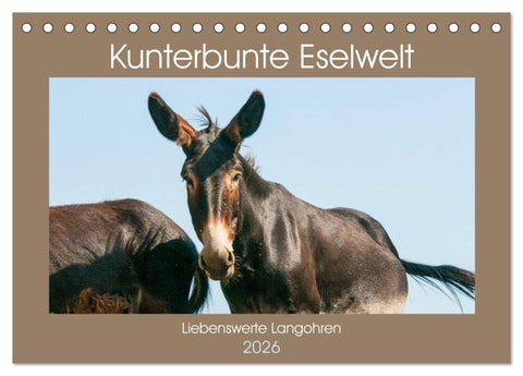 Kunterbunte Eselwelt - Liebenswerte Langohren (Tischkalender 2026 DIN A5 quer), CALVENDO Monatskalender