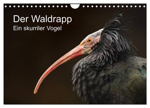 Der Waldrapp - Ein skurriler Vogel (Wandkalender 2027 DIN A4 quer), CALVENDO Monatskalender