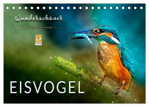 Wunderschöner Eisvogel (Tischkalender 2026 DIN A5 quer), CALVENDO Monatskalender