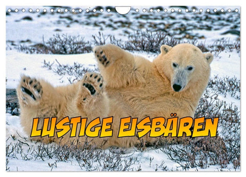 Lustige Eisbären (Wandkalender 2026 DIN A4 quer), CALVENDO Monatskalender