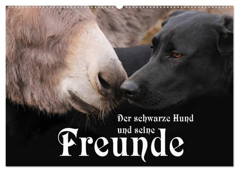 Der schwarze Hund und seine Freunde (Wandkalender 2027 DIN A2 quer), CALVENDO Monatskalender