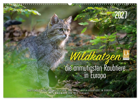 Wildkatzen - die anmutigsten Raubiere in Europa. (Wandkalender 2027 DIN A2 quer), CALVENDO Monatskalender