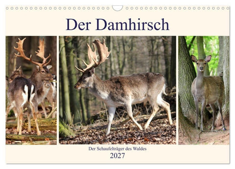 Der Damhirsch - Der Schaufelträger des Waldes (Wandkalender 2027 DIN A3 quer), CALVENDO Monatskalender