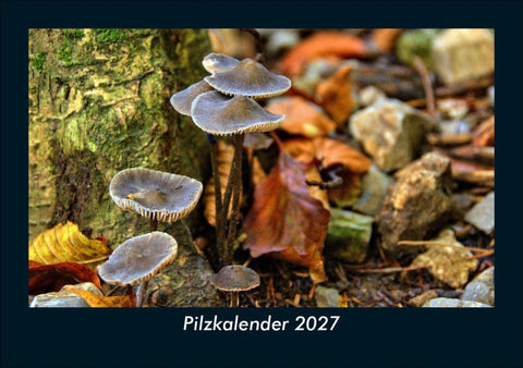 Pilzkalender 2027 Fotokalender DIN A5