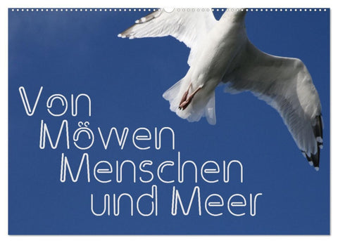 Von Möwen, Menschen und Meer (Wandkalender 2026 DIN A2 quer), CALVENDO Monatskalender