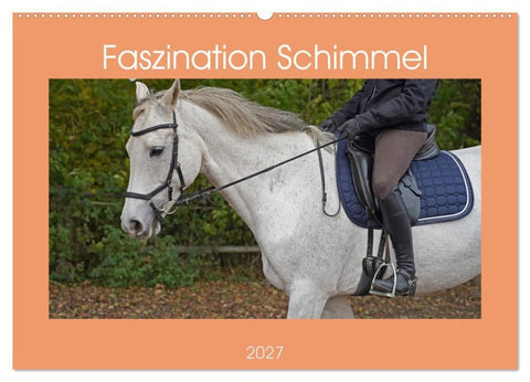 Faszination Schimmel (Wandkalender 2027 DIN A2 quer), CALVENDO Monatskalender