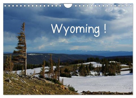 Wyoming! (Wandkalender 2027 DIN A4 quer), CALVENDO Monatskalender