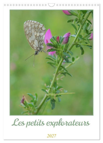 Les petits explorateurs (Calendrier mural 2027 DIN A3 horizontal), CALVENDO calendrier mensuel