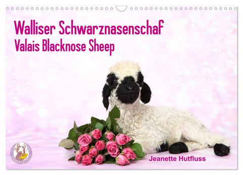 Walliser Schwarznasenschaf Valais Blacknose Sheep (Wandkalender 2027 DIN A3 quer), CALVENDO Monatskalender