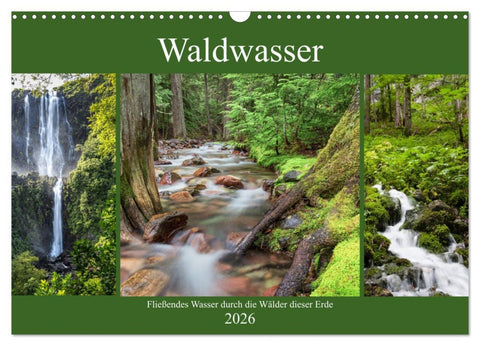 Waldwasser (Wandkalender 2026 DIN A3 quer), CALVENDO Monatskalender