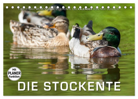 Emotionale Momente: Die Stockente. (Tischkalender 2026 DIN A5 quer), CALVENDO Monatskalender