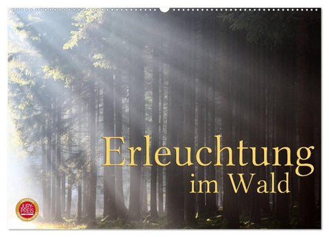 Erleuchtung im Wald (Wandkalender 2026 DIN A2 quer), CALVENDO Monatskalender