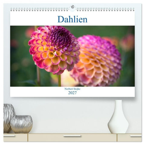 Dahlien - Blumenwunder der Natur (hochwertiger Premium Wandkalender 2027 DIN A2 quer), Kunstdruck in Hochglanz