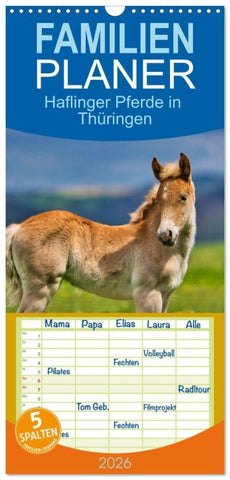 Familienplaner 2026 - Haflinger Pferde in Thüringen mit 5 Spalten (Wandkalender, 21 x 45 cm) CALVENDO