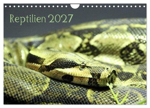 Reptilien 2027 (Wandkalender 2027 DIN A4 quer), CALVENDO Monatskalender