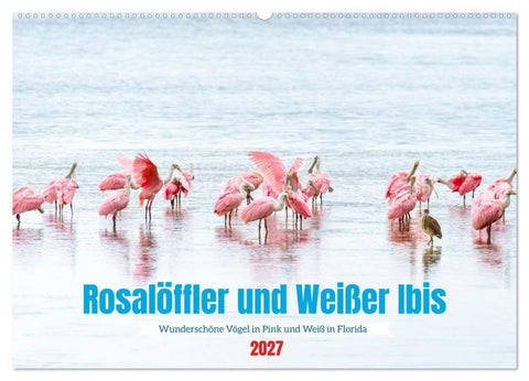 Rosalöffler und weißer Ibis (Wandkalender 2027 DIN A2 quer), CALVENDO Monatskalender