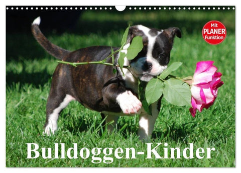 Bulldoggen-Kinder (Wandkalender 2027 DIN A3 quer), CALVENDO Monatskalender