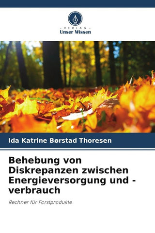 Behebung von Diskrepanzen zwischen Energieversorgung und -verbrauch