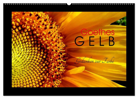 Goethes Gelb Gedanken zur Farbe (Wandkalender 2026 DIN A2 quer), CALVENDO Monatskalender