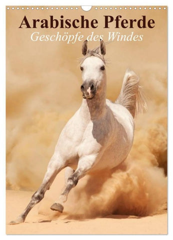 Arabische Pferde ¿ Geschöpfe des Windes (Wandkalender 2027 DIN A3 hoch), CALVENDO Monatskalender