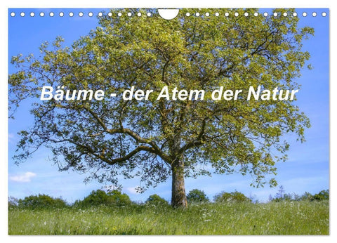Bäume, der Atem der Natur (Wandkalender 2027 DIN A4 quer), CALVENDO Monatskalender